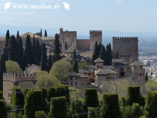 Blick vom Generalife zur Alhambra